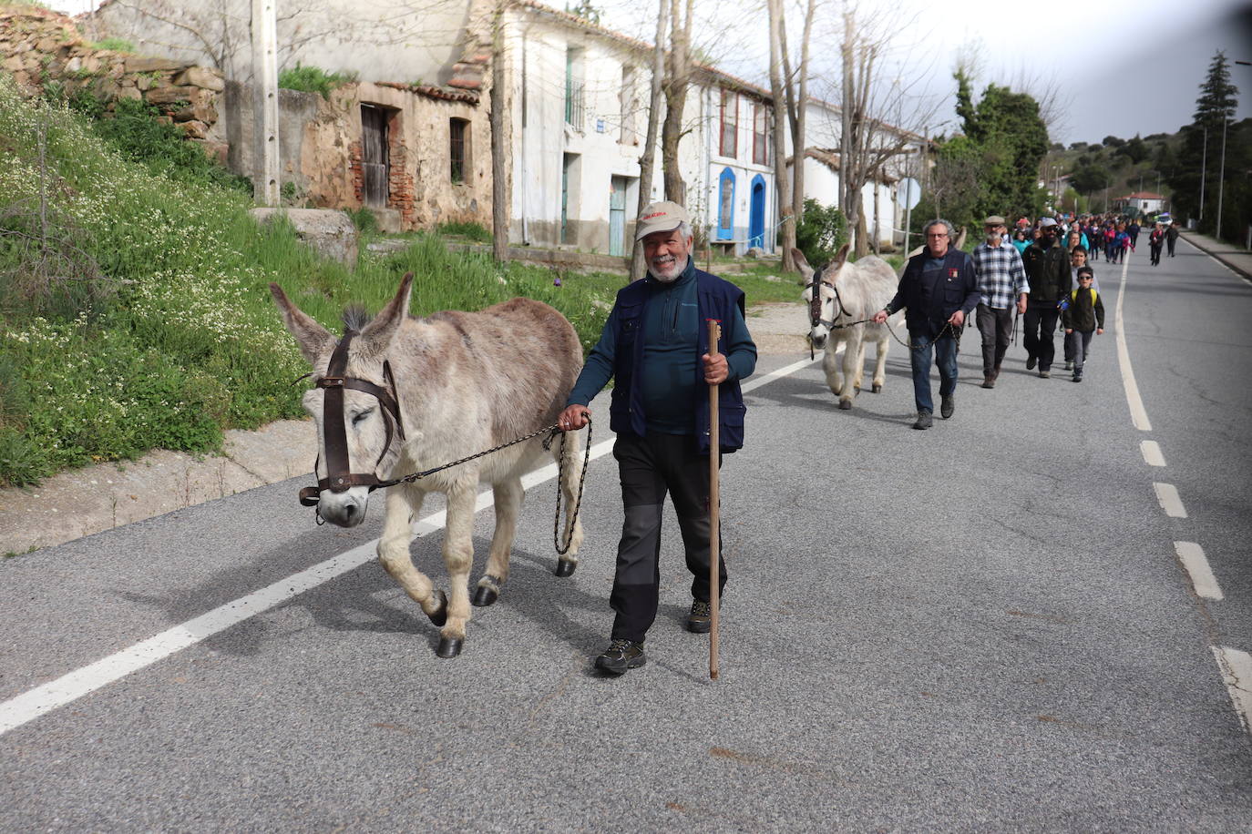 Santiago Peregrino marcha junto a los caminantes del Via Lucis de Beleña a Fuenterroble