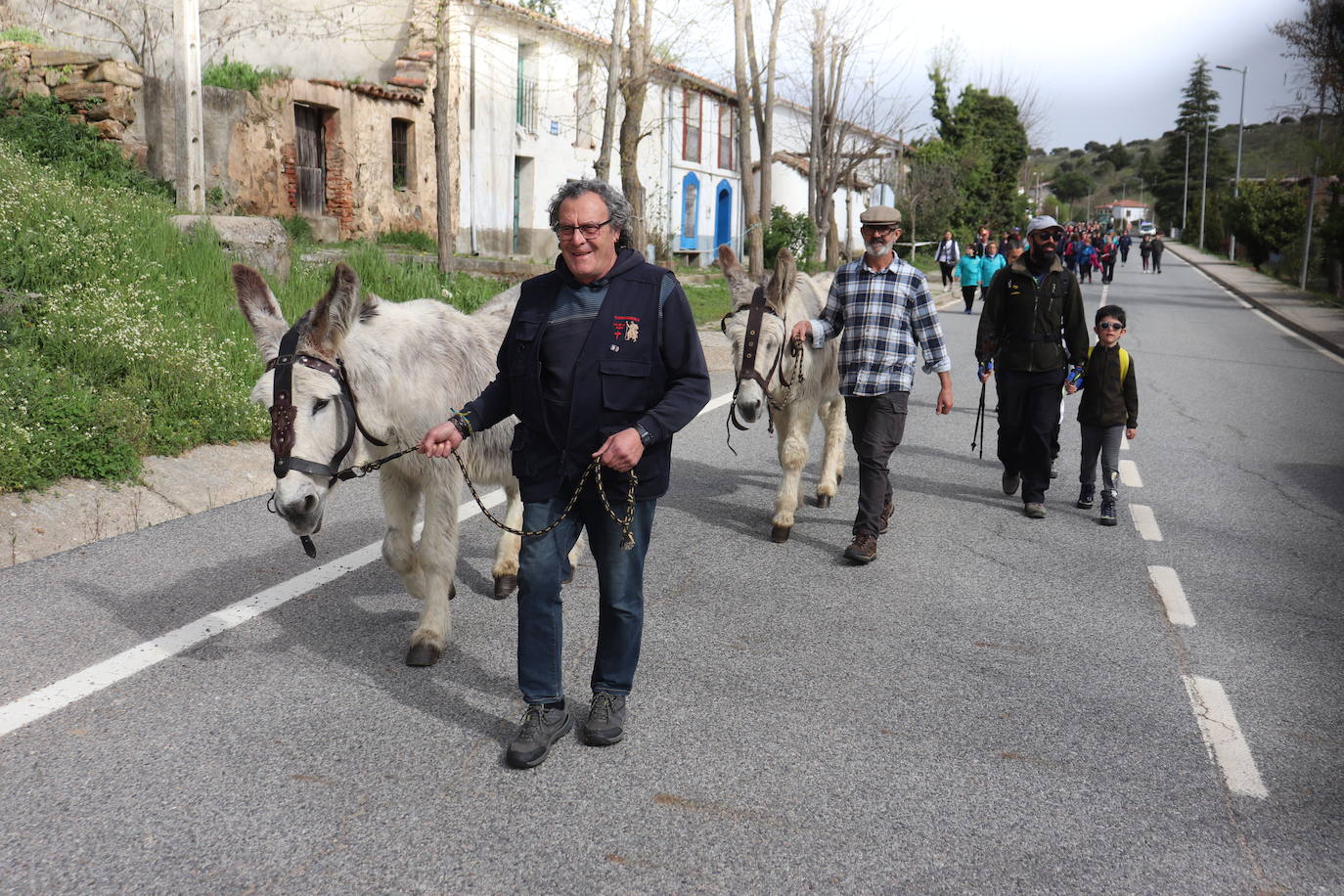 Santiago Peregrino marcha junto a los caminantes del Via Lucis de Beleña a Fuenterroble