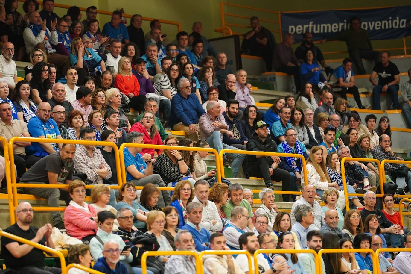 Búscate en la grada del Würzburg en el partido entre el Perfumerías Avenida y el Ensino de Lugo