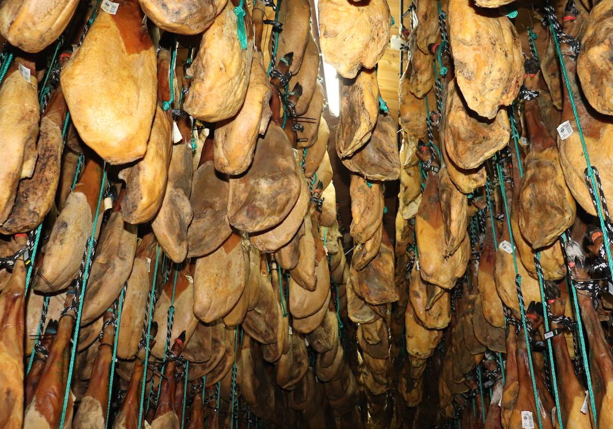 Bodega de una industria cárnica de Guijuelo con piezas de precinto negro.