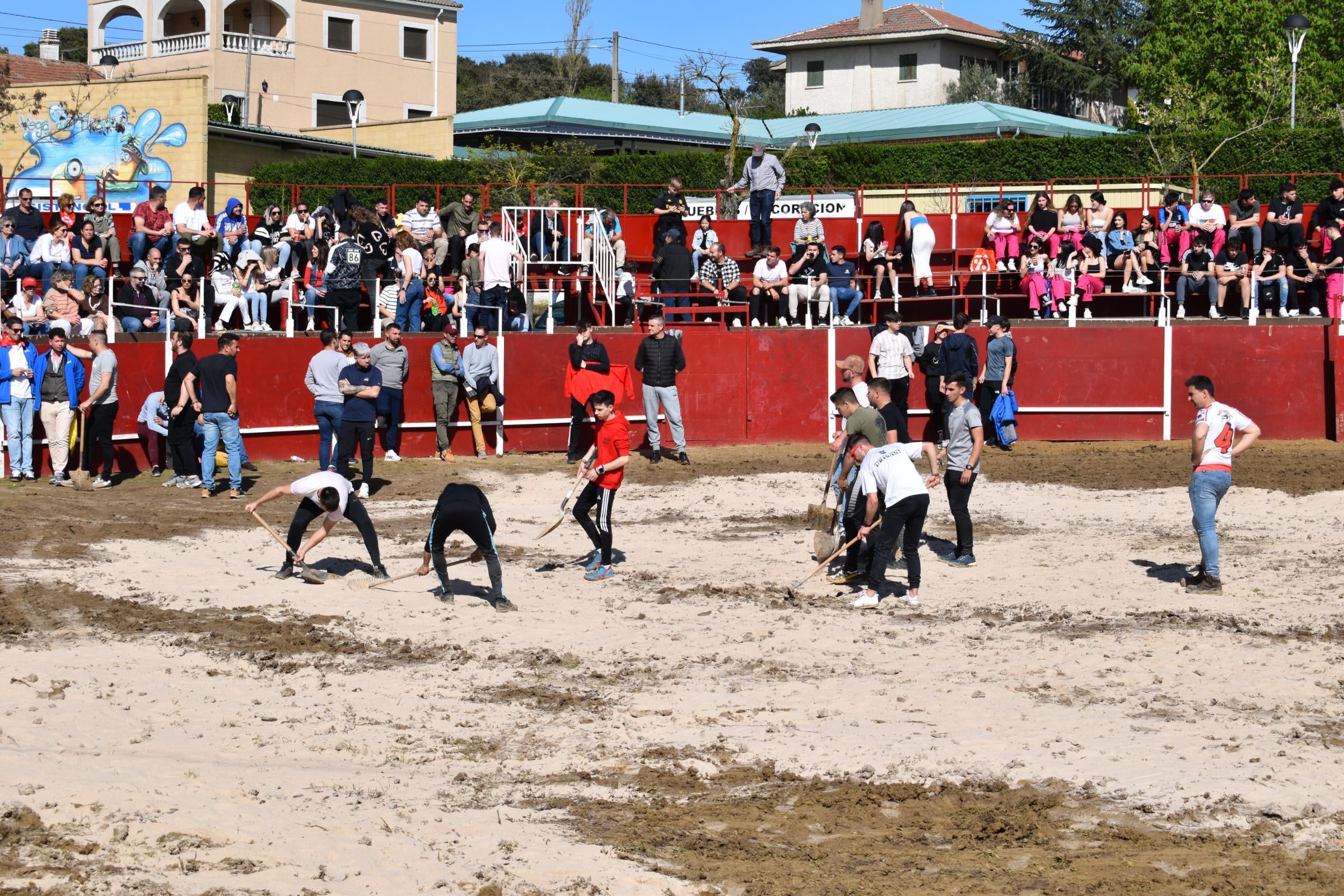 Las vaquillas triunfan y llenan Vega de Tirados