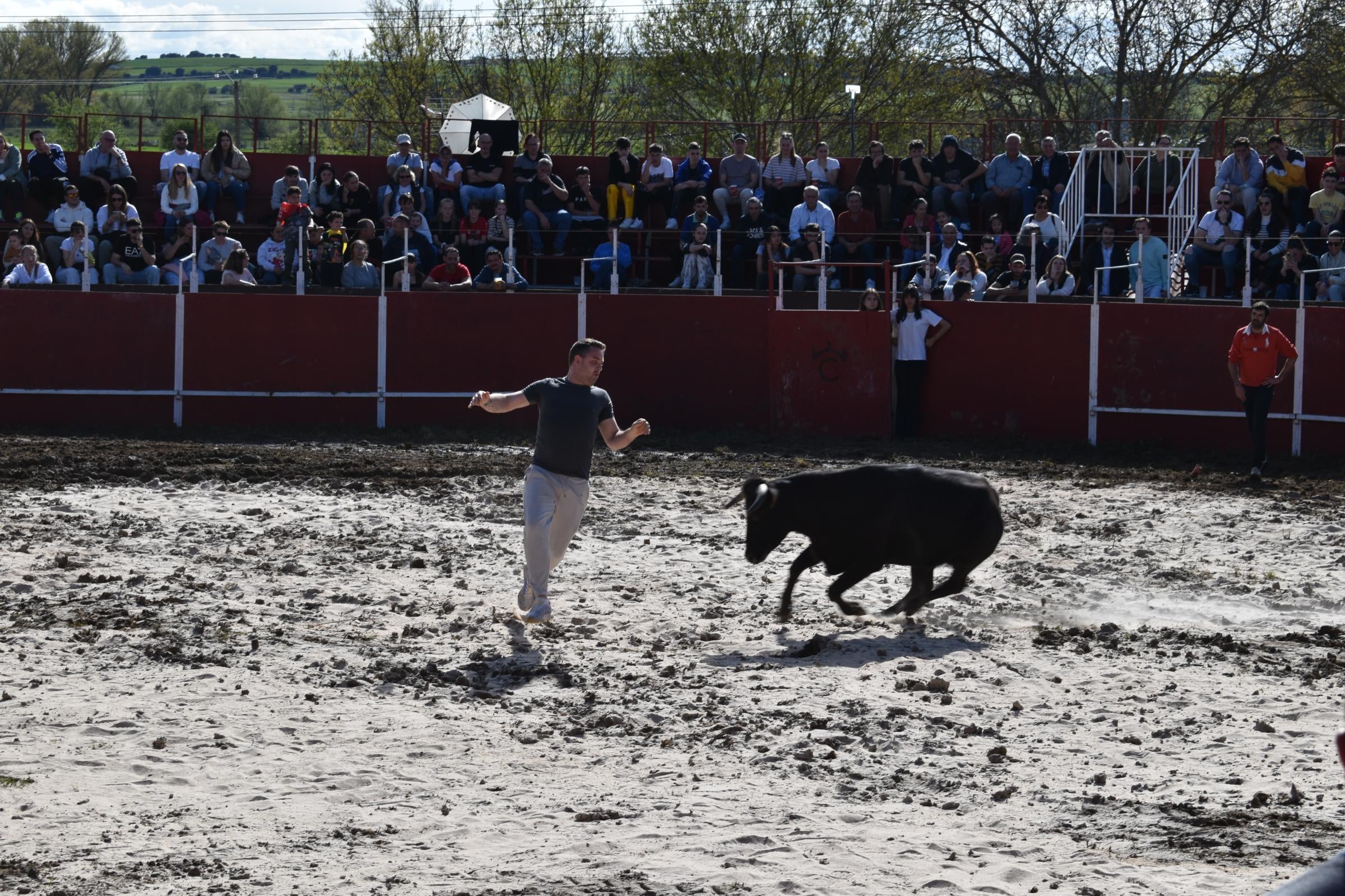 Las vaquillas triunfan y llenan Vega de Tirados