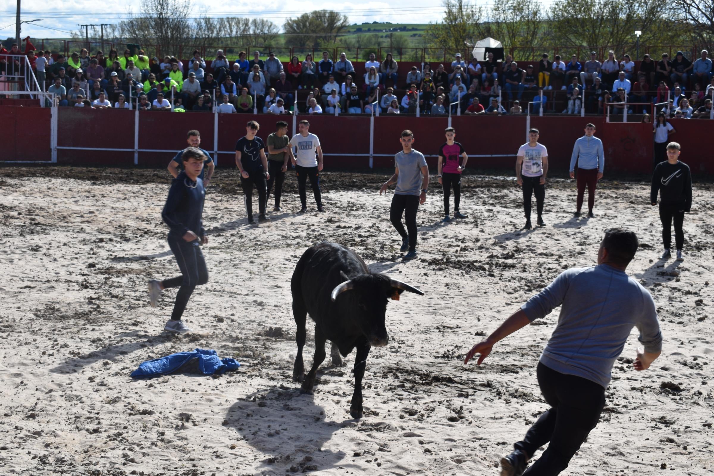 Las vaquillas triunfan y llenan Vega de Tirados