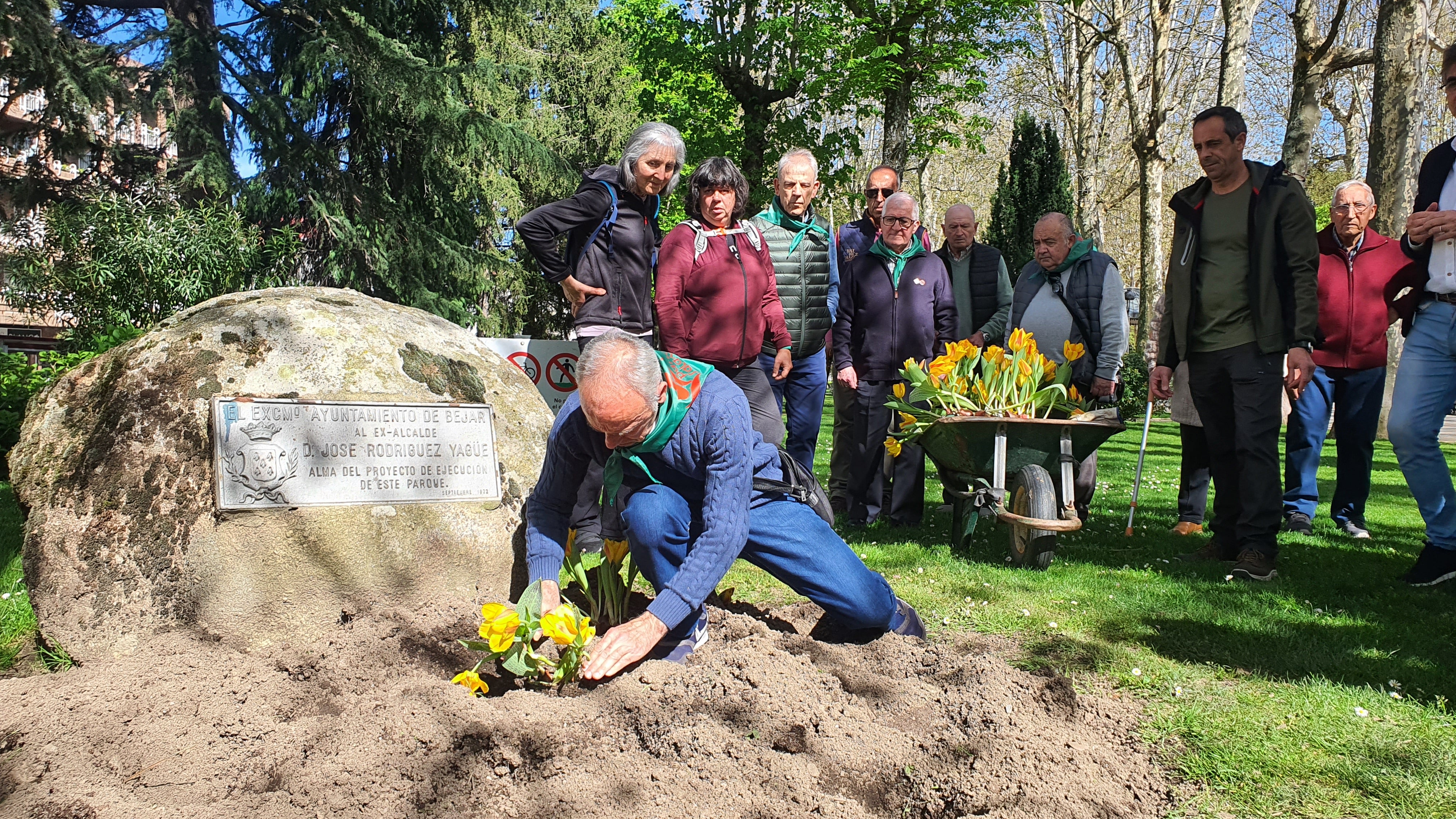 Tulipanes en apoyo de los enfermos de parkinson