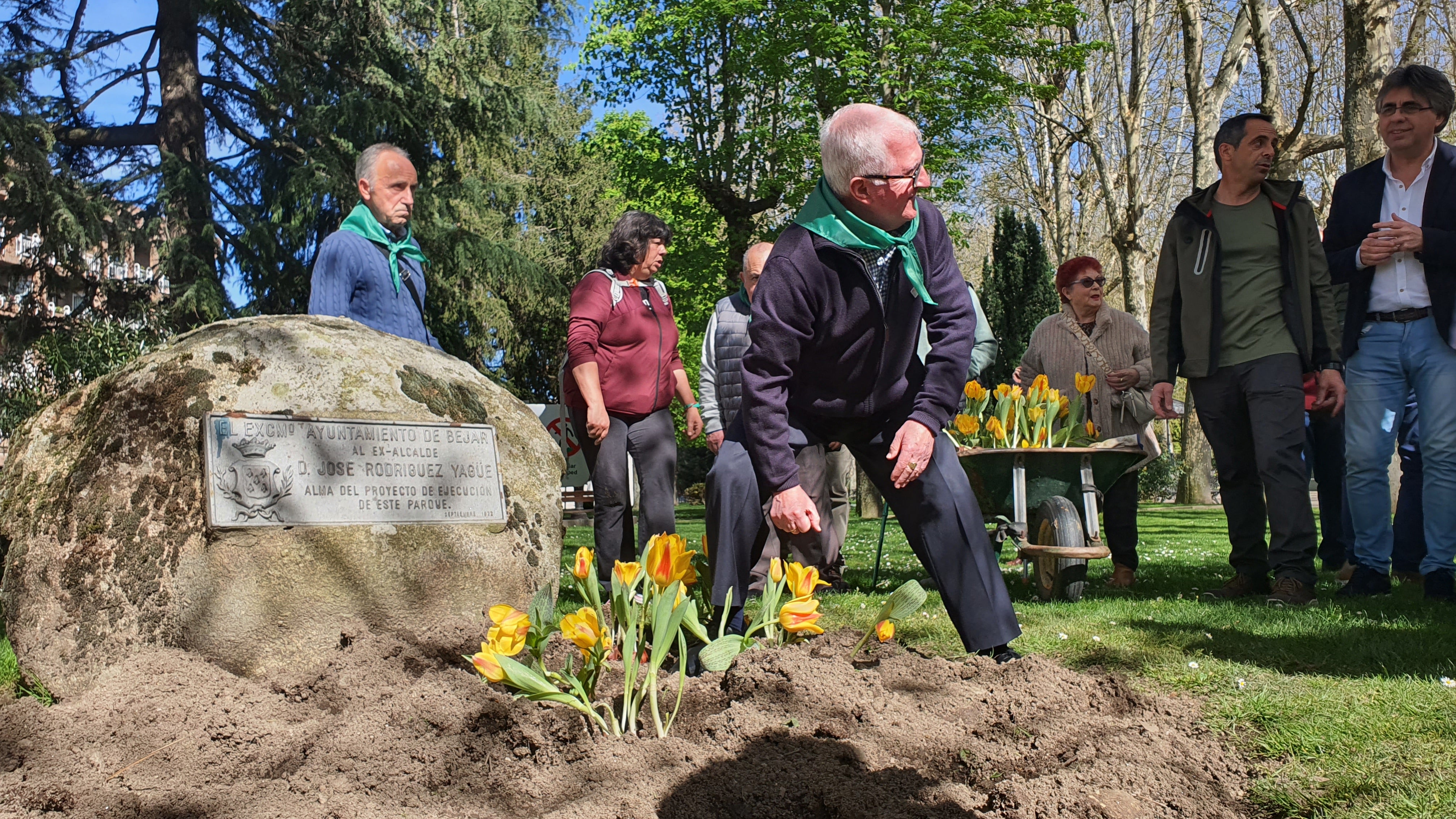 Tulipanes en apoyo de los enfermos de parkinson