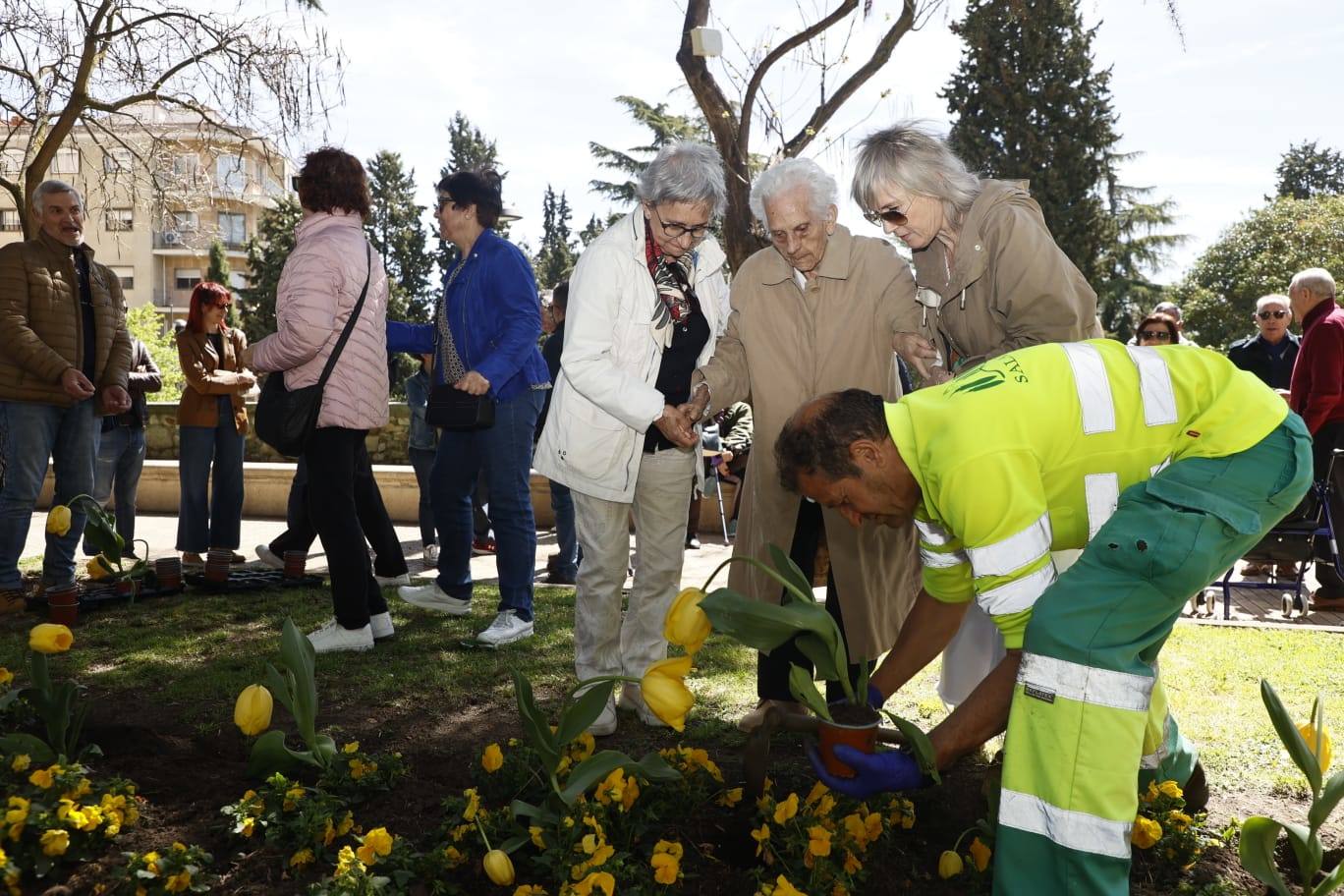 Tulipanes para sensibilizar y buscar avances contra el párkinson