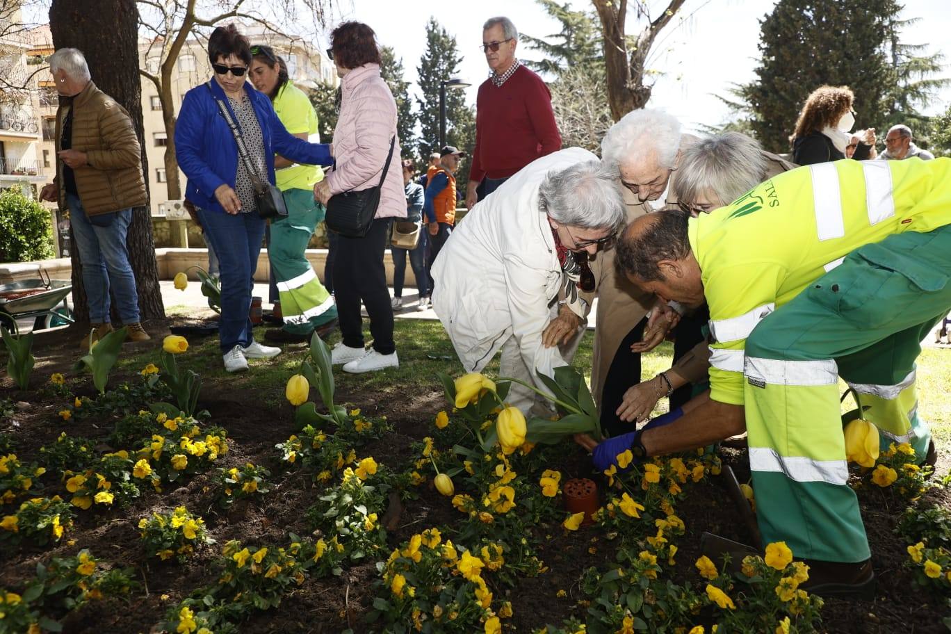 Tulipanes para sensibilizar y buscar avances contra el párkinson