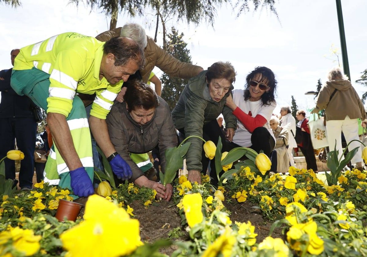 Tulipanes para sensibilizar y buscar avances contra el párkinson