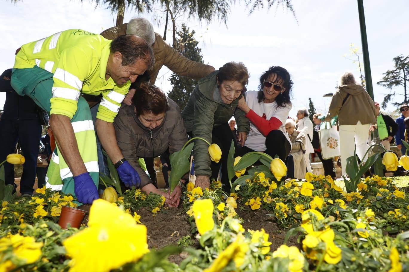 Tulipanes para sensibilizar y buscar avances contra el párkinson