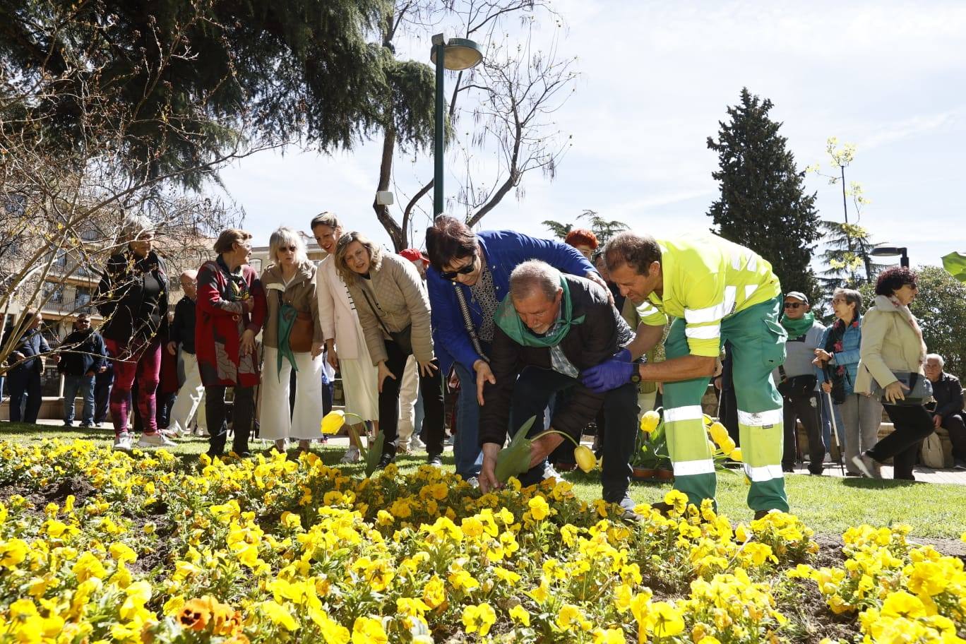 Tulipanes para sensibilizar y buscar avances contra el párkinson