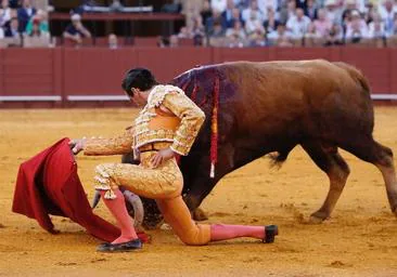 Pase de pecho rodilla en tierra de Juan Ortega a Florentino, el toro salmantino de Domingo Hernández que desorejó