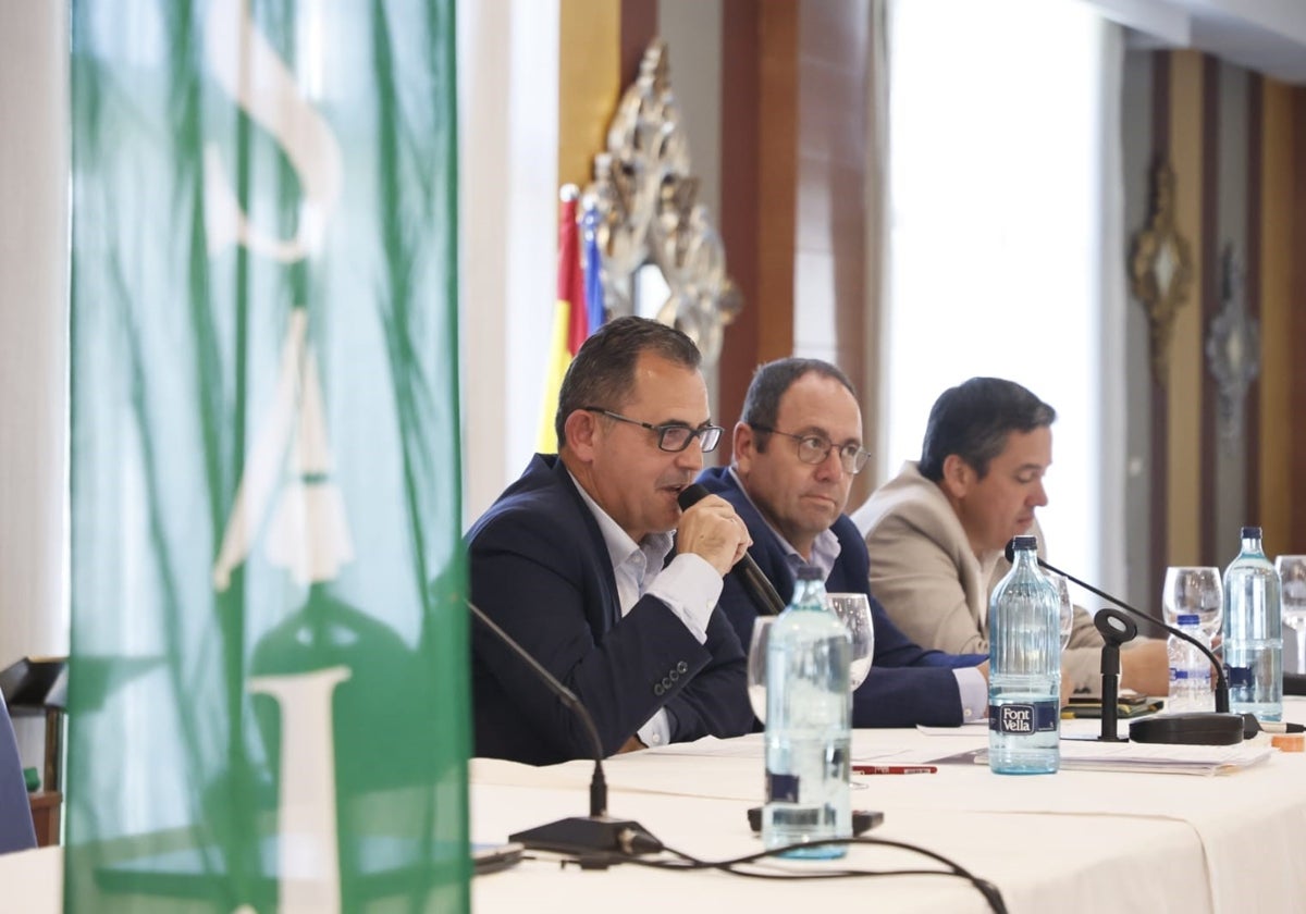 Juan Luis Delgado, Julián Juanes y Raúl del Brío.