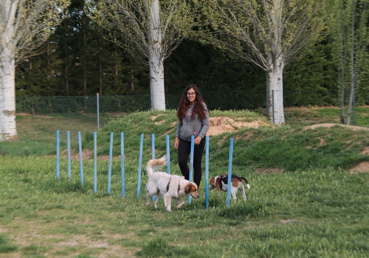 Una mujer con dos perros en Carbajosa.