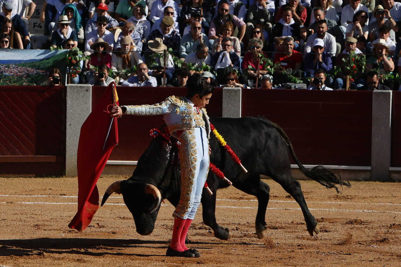 La novillada de Marco Pérez, en imágenes