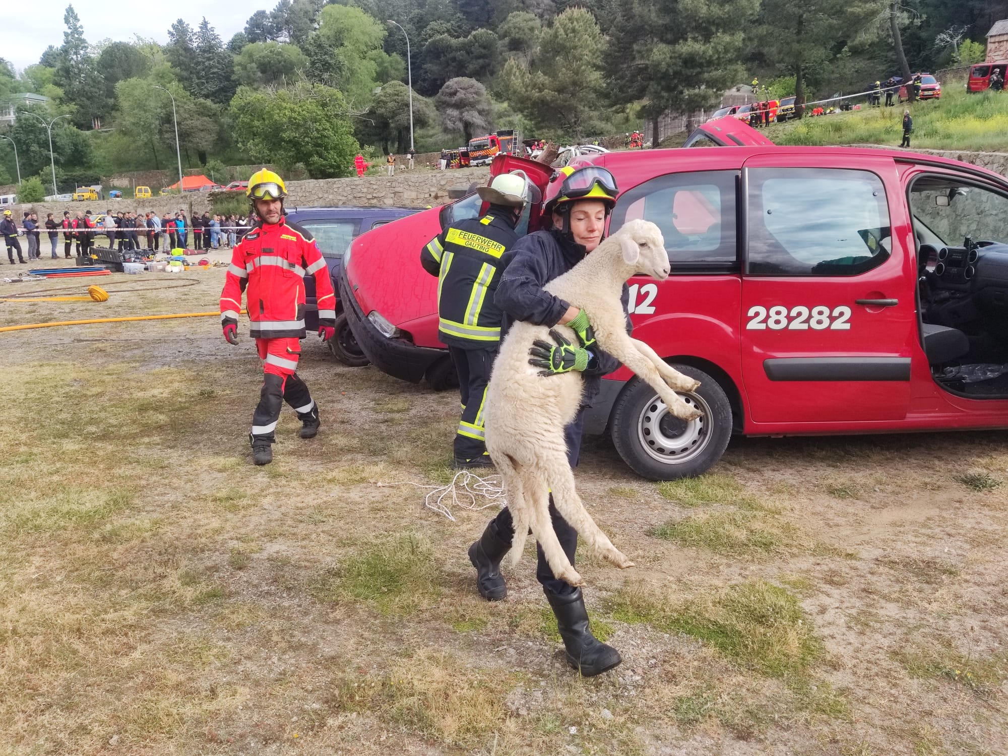 Espectacular simulacro en Béjar: un accidente de autobús, un camión con ovejas y un rescate en el río