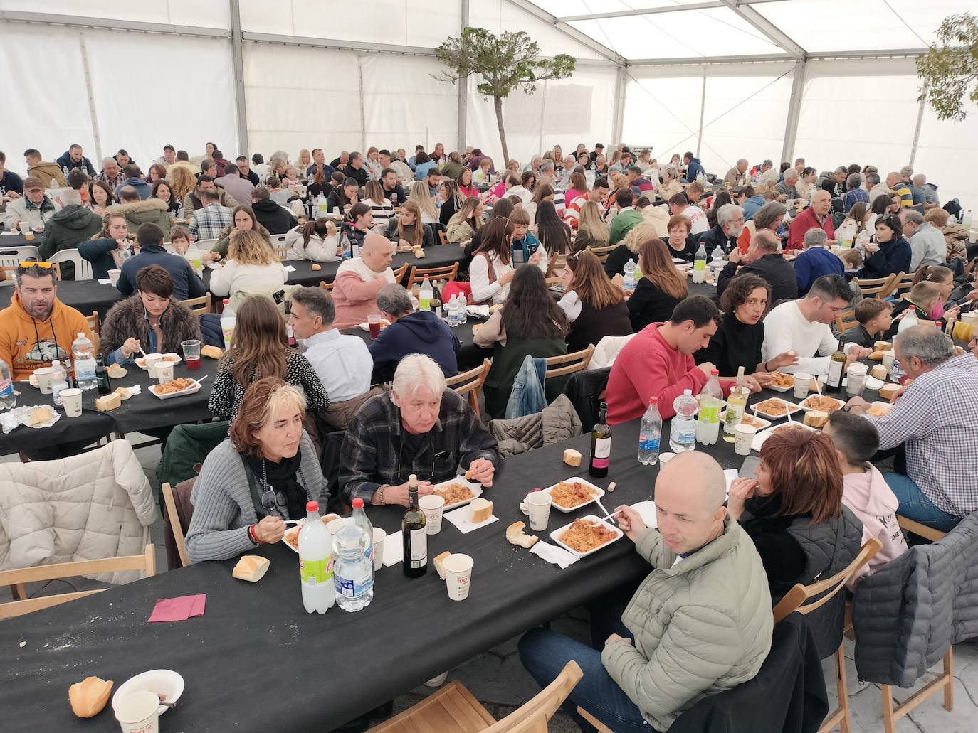 Aldeavieja de Tormes celebra una animada fiesta de la matanza