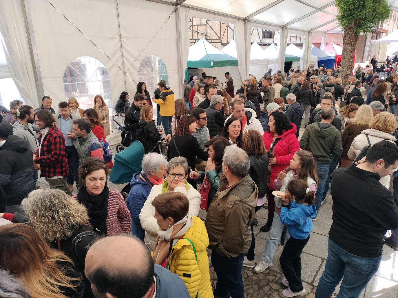 El público responde a la Feria de Enoturismo de San Esteban de la Sierra