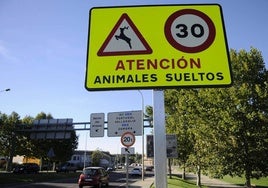 Una señal advierte de la posible presencia de animales cerca de la carretera.