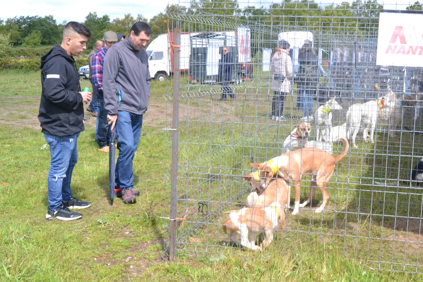 La Feria de San Felipe se impone a la lluvia en Barruecopardo