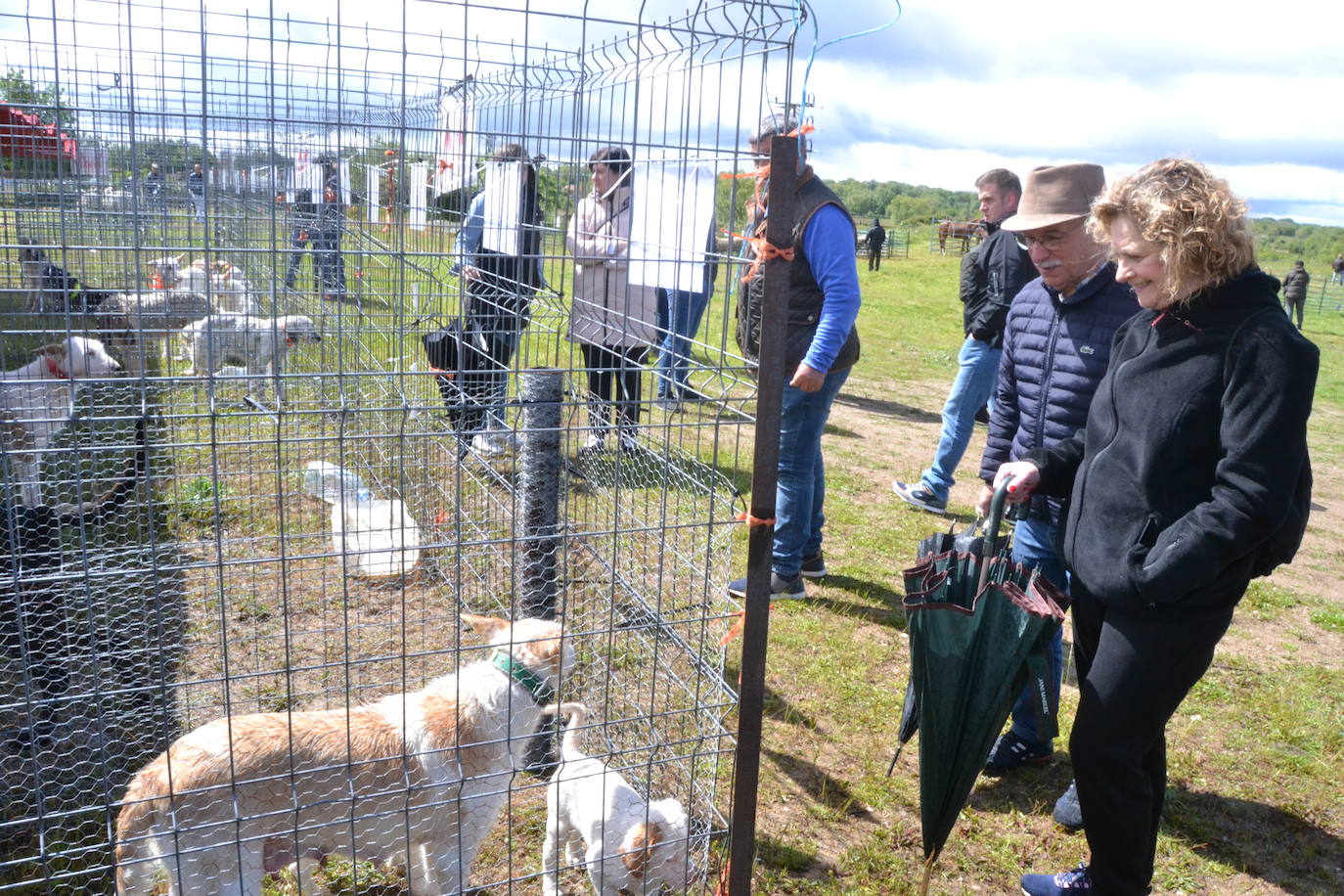 La Feria de San Felipe se impone a la lluvia en Barruecopardo