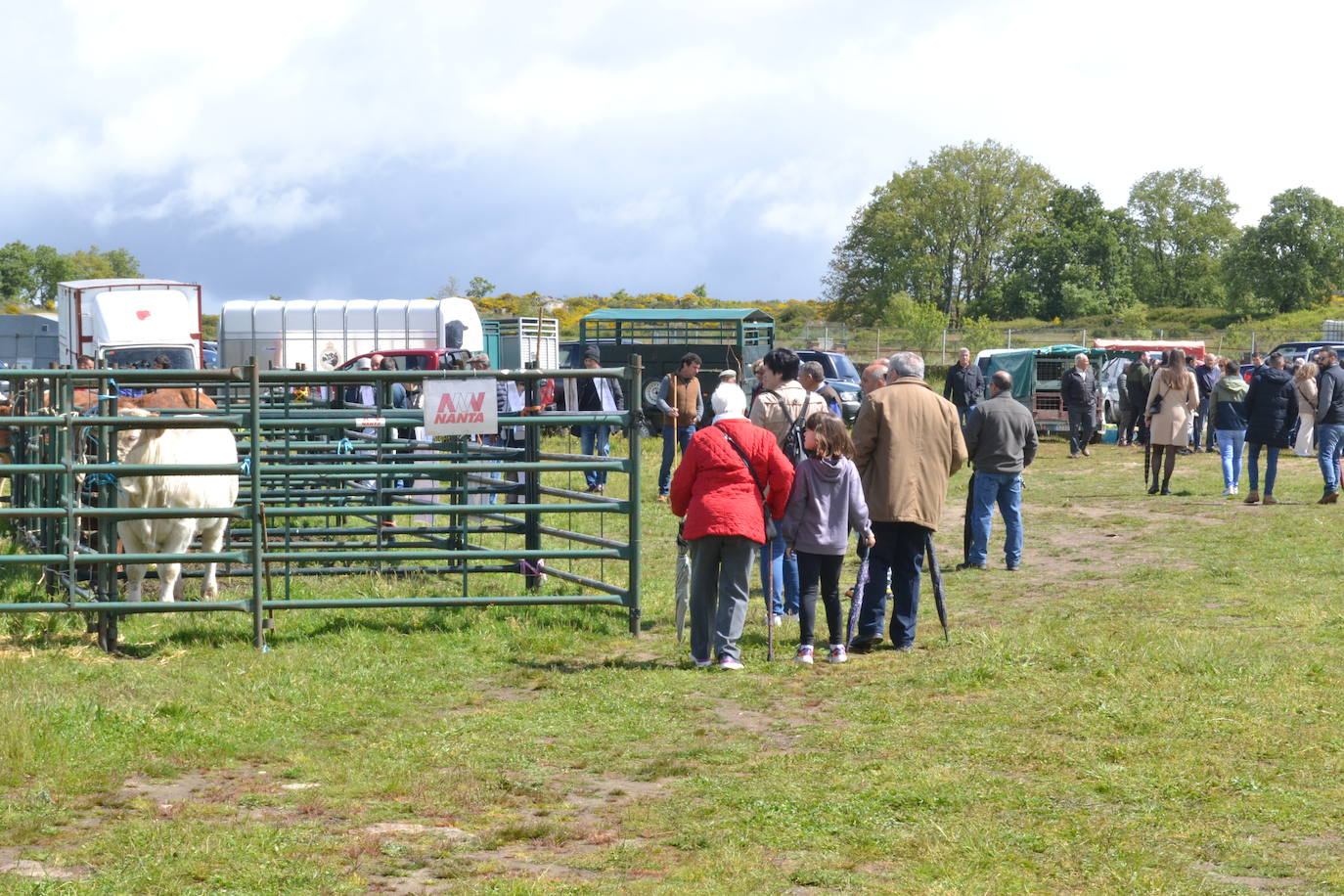 La Feria de San Felipe se impone a la lluvia en Barruecopardo