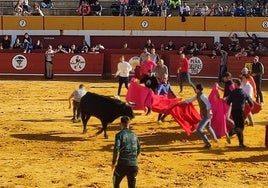 Revolcón en la capea de Macotera