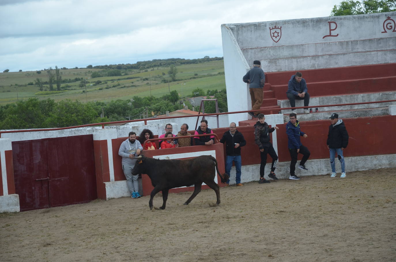 Espíritu festivo y fantasía en el último día de la Santa Cruz en Saelices el Chico