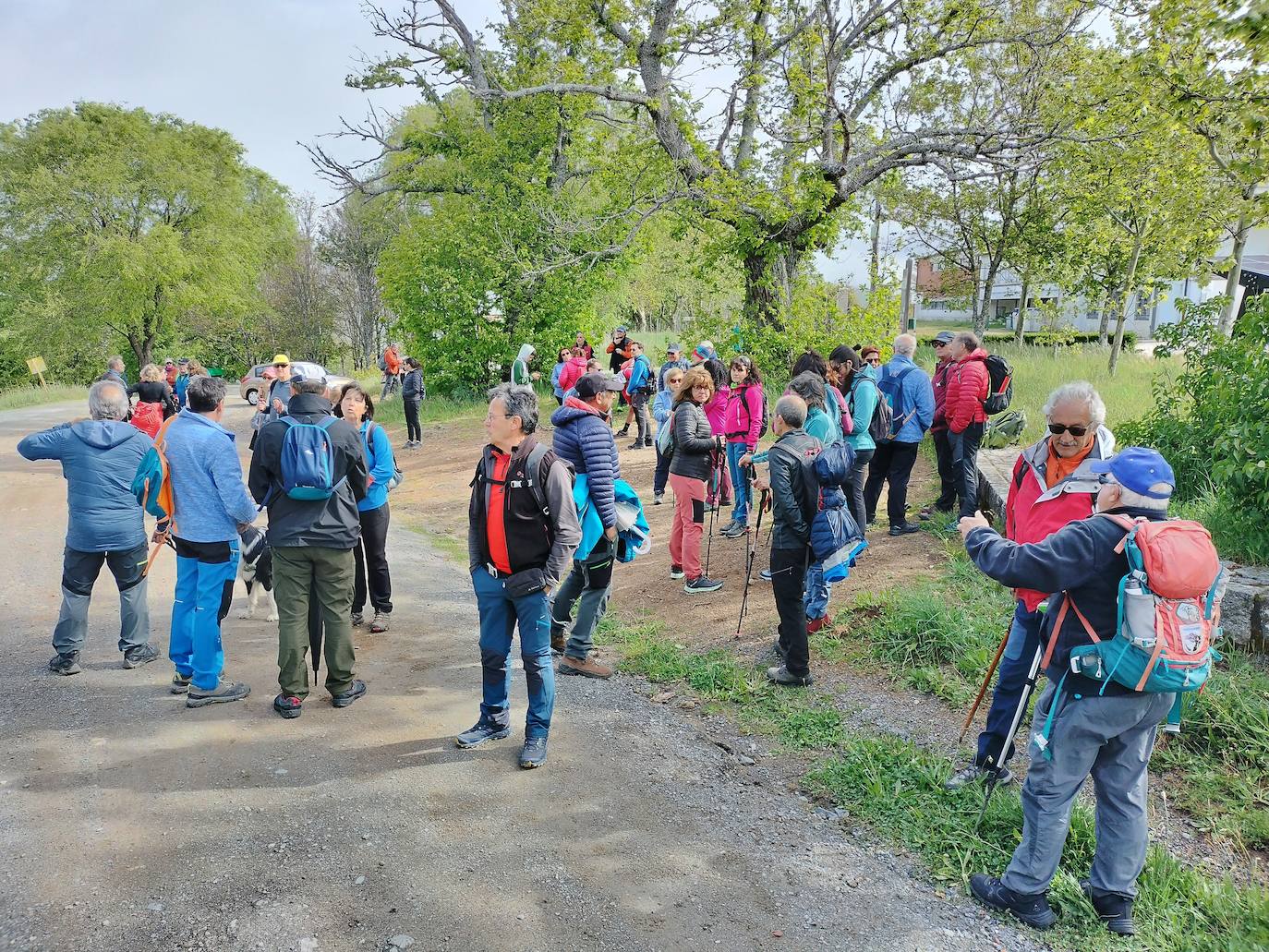 La marcha de los limones despide las ferias de mayo de Béjar