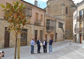 Ramón Sastre, Marcos Iglesias, José Manuel Jerez y Rubén Benito visitan el resultado de las obras