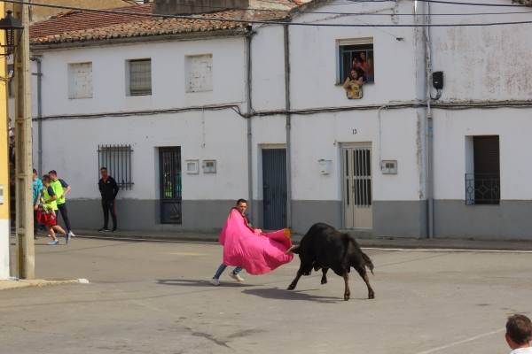 Un toro de San Isidro muy entretenido en Cantalpino