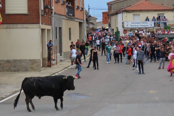 Un toro de San Isidro muy entretenido en Cantalpino