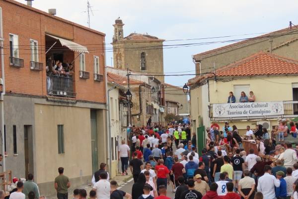 Un toro de San Isidro muy entretenido en Cantalpino