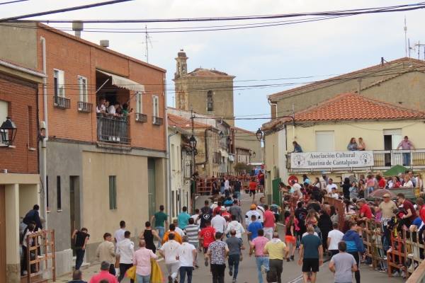 Un toro de San Isidro muy entretenido en Cantalpino