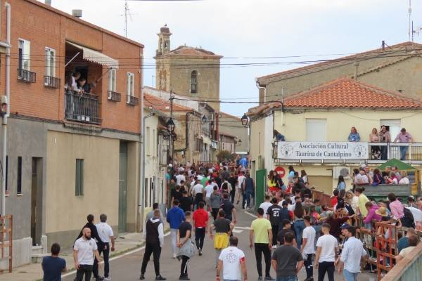 Un toro de San Isidro muy entretenido en Cantalpino