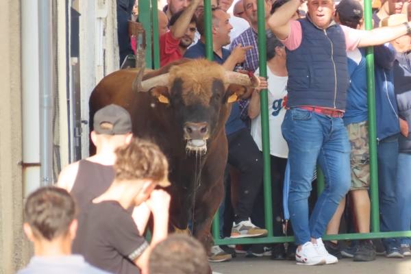 Un toro de San Isidro muy entretenido en Cantalpino