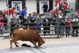 Los festejos taurinos marcan la programación del Corpus en Vitigudino.