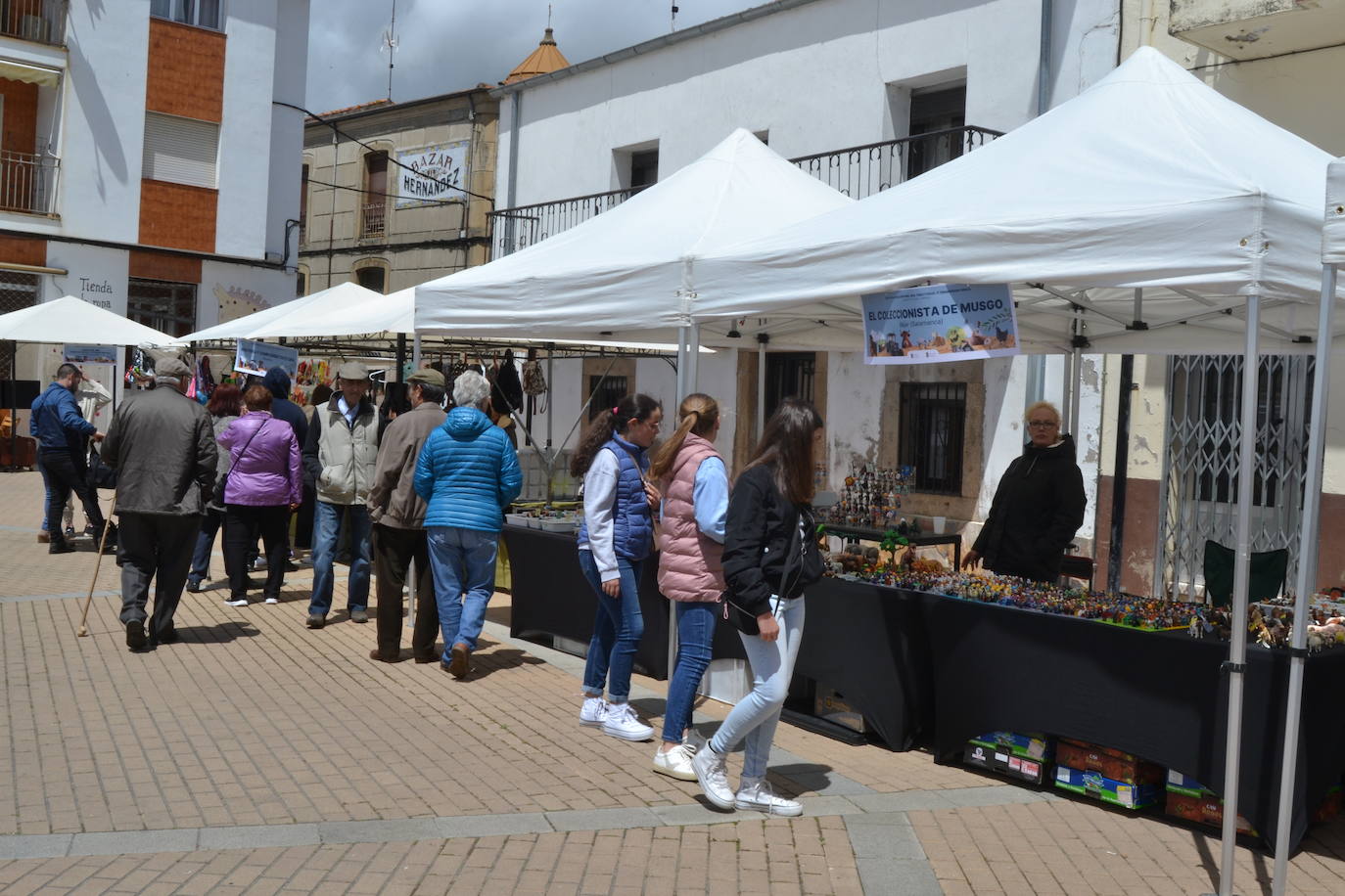 Ambiente de feria en Lumbrales con motivo de San Isidro