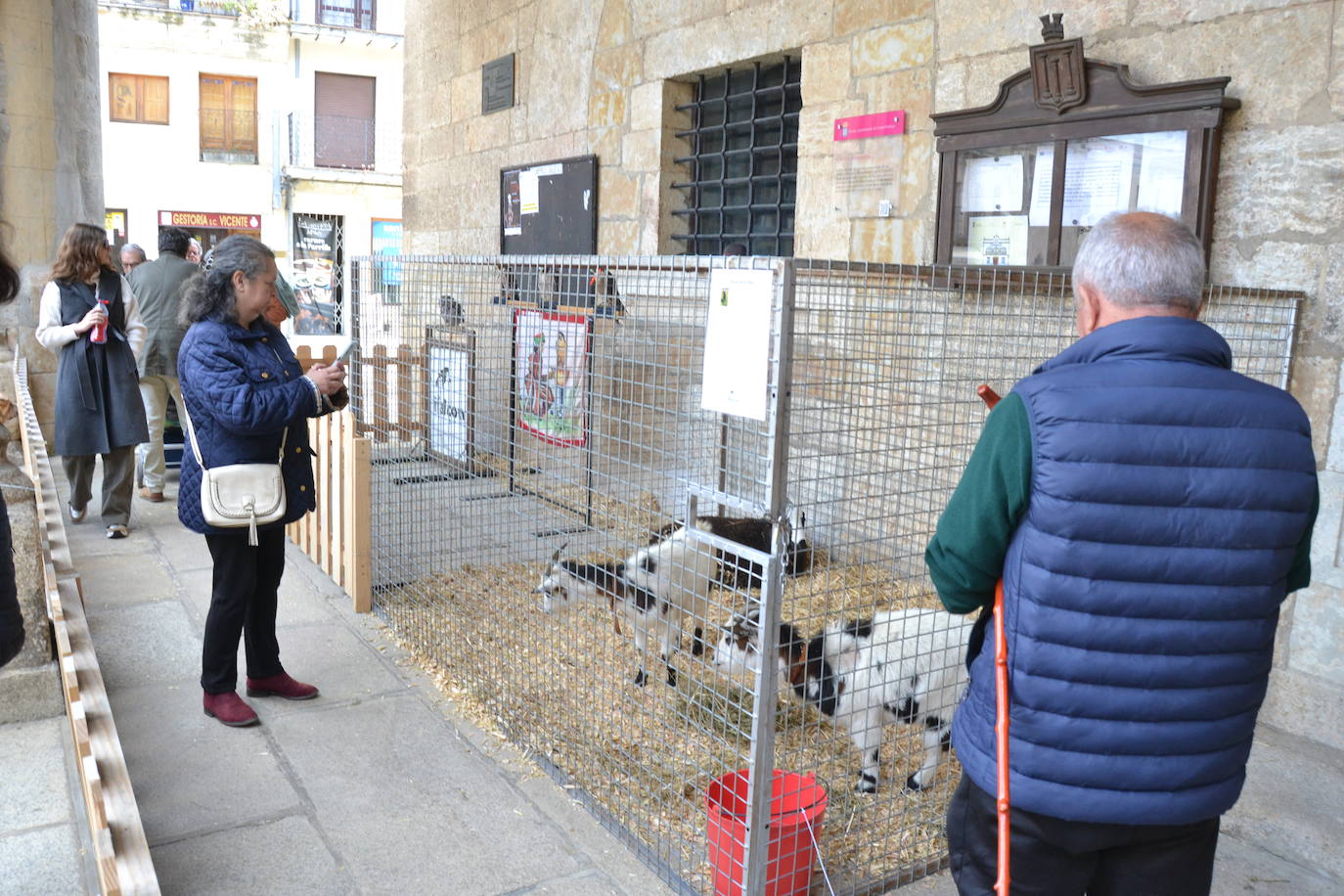 La feria más farinata de Ciudad Rodrigo