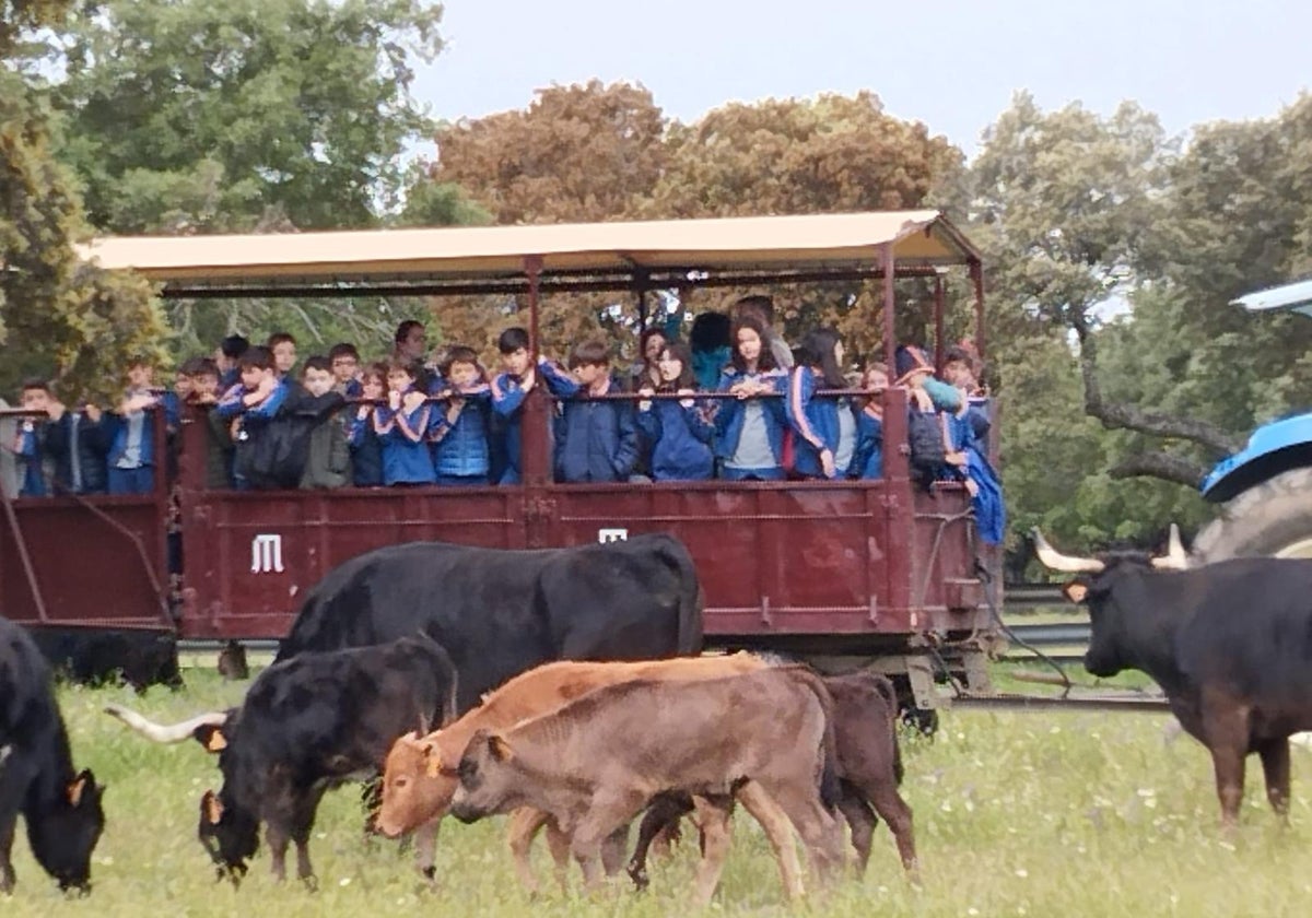 Alumnos del Colegio de Calasanz en la finca de José Enrique Fraile de Valdefresno.