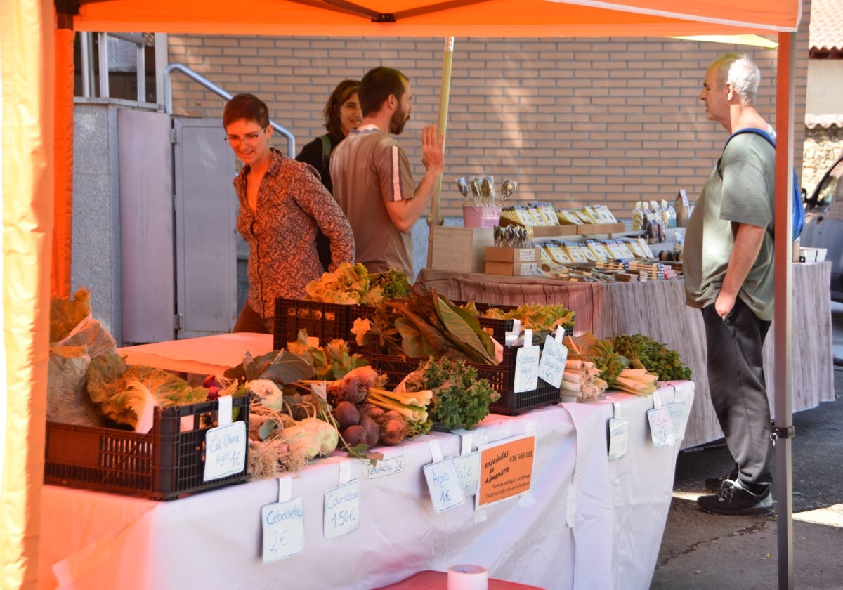 Uno de los puestos del «Mercado de temporada» de Miranda de Azán, pionera en esta iniciativa.