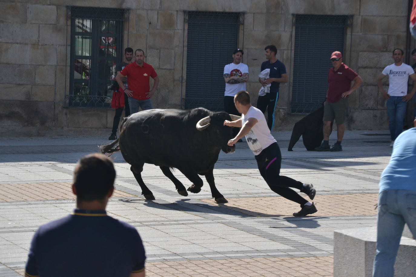 Vitigudino vibra con el Toro de Cajón