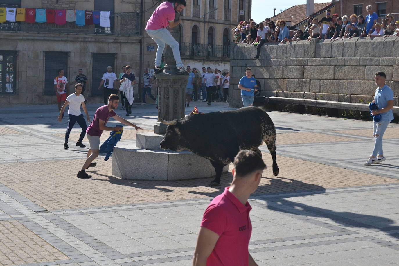 Vitigudino vibra con el Toro de Cajón