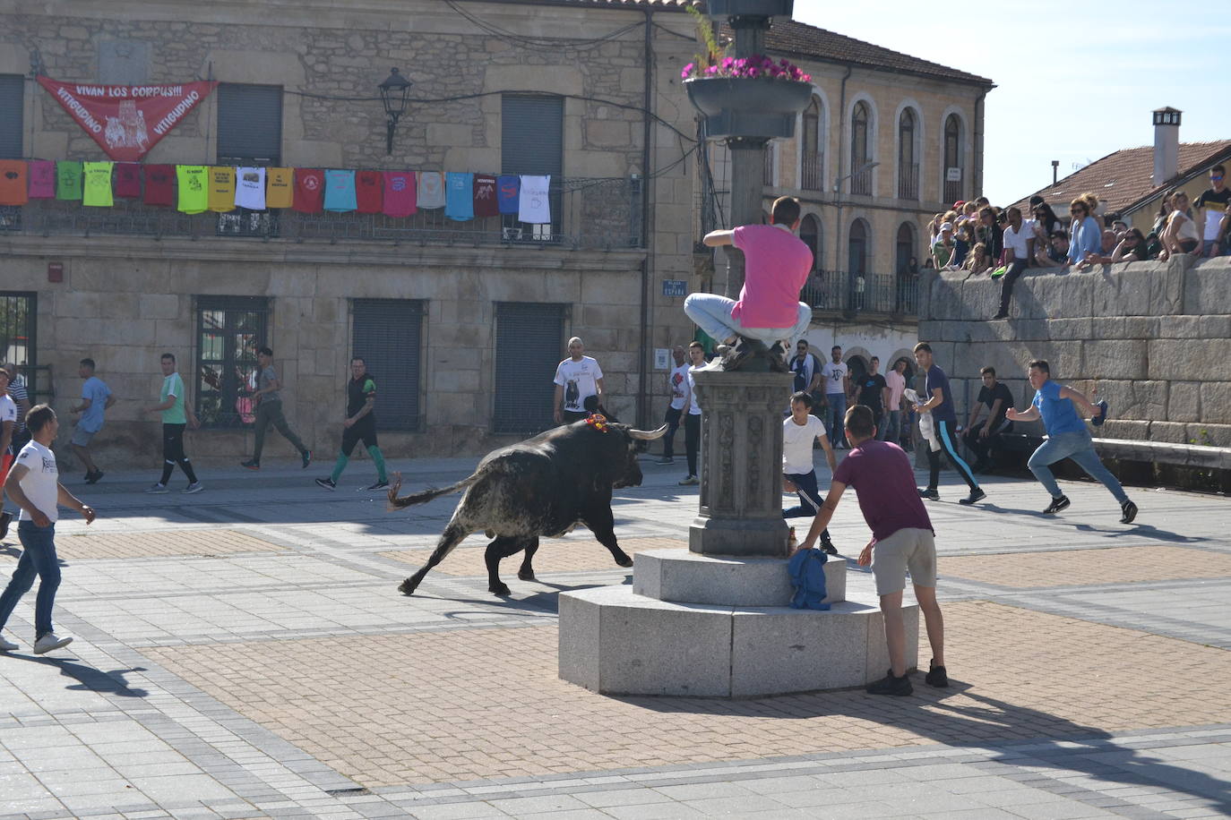 Vitigudino vibra con el Toro de Cajón