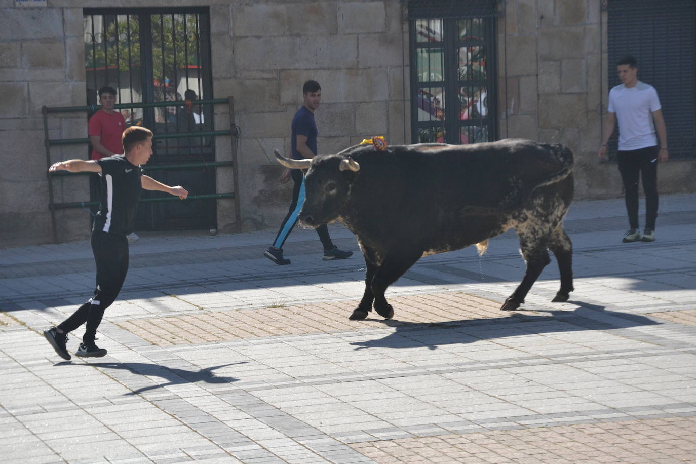 Vitigudino vibra con el Toro de Cajón