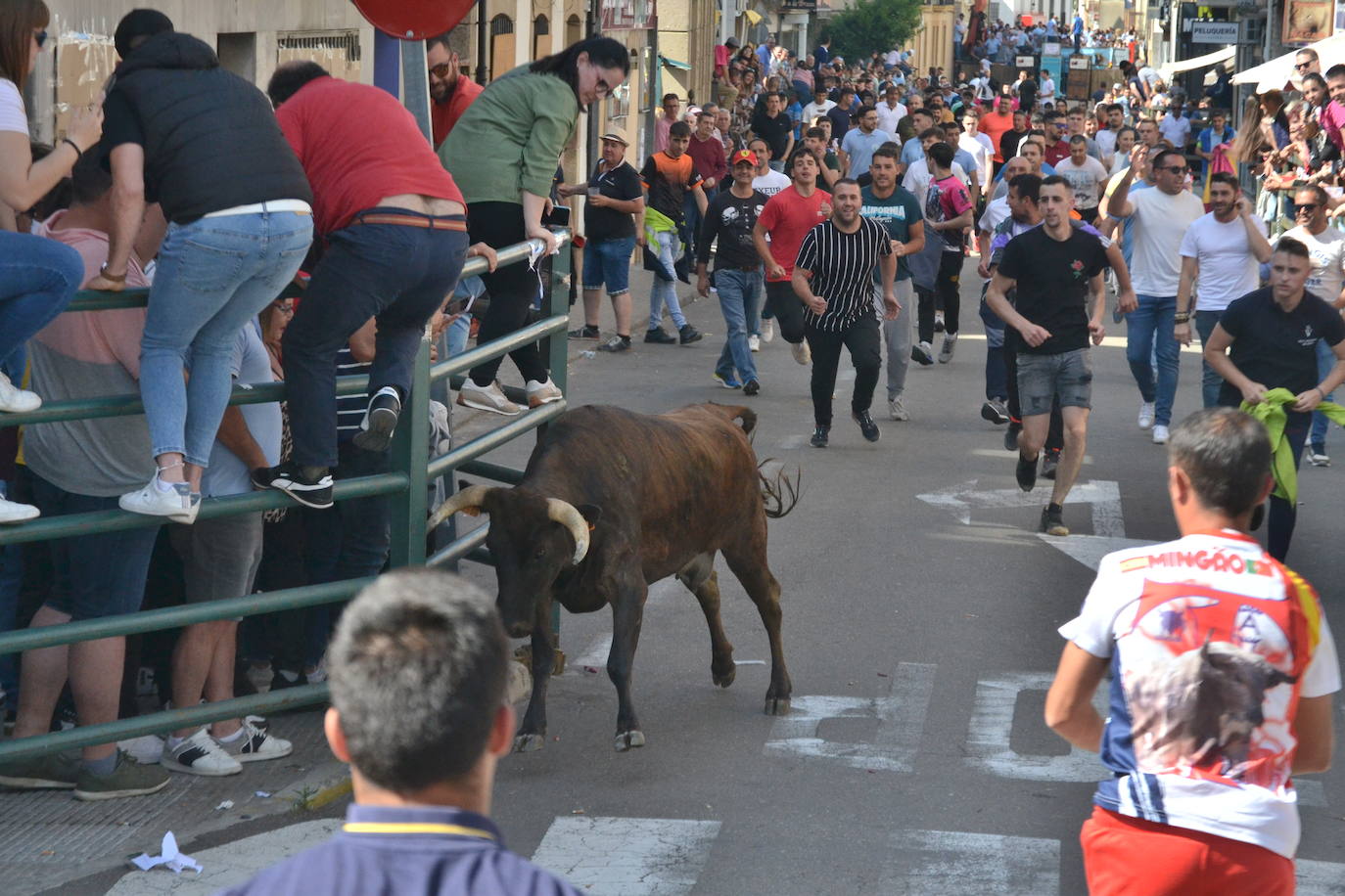 Vitigudino vibra con el Toro de Cajón