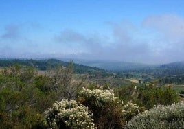 Navasfrías, cubierta de una densa niebla.