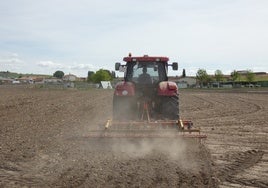 Un agricultor prepara su parcela.