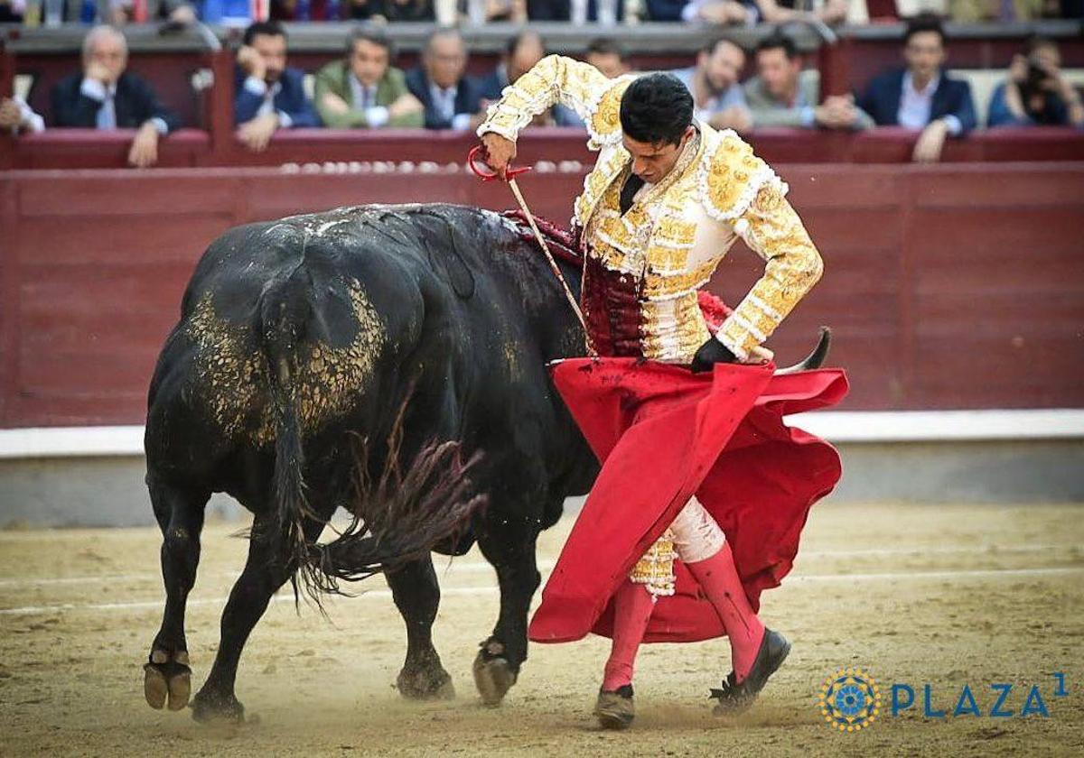 670 kilos de bondad