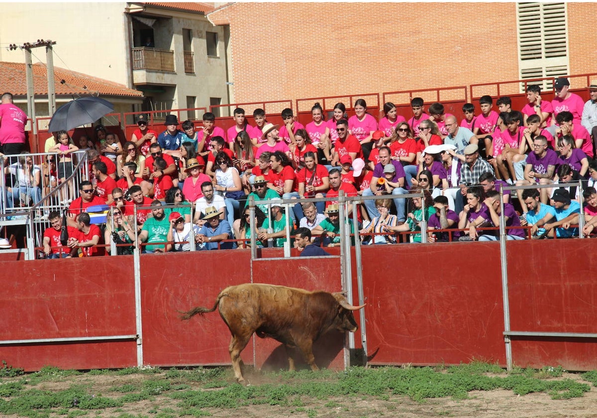 La capea es una de las actividades que mayor número de asistentes congrega cada año.