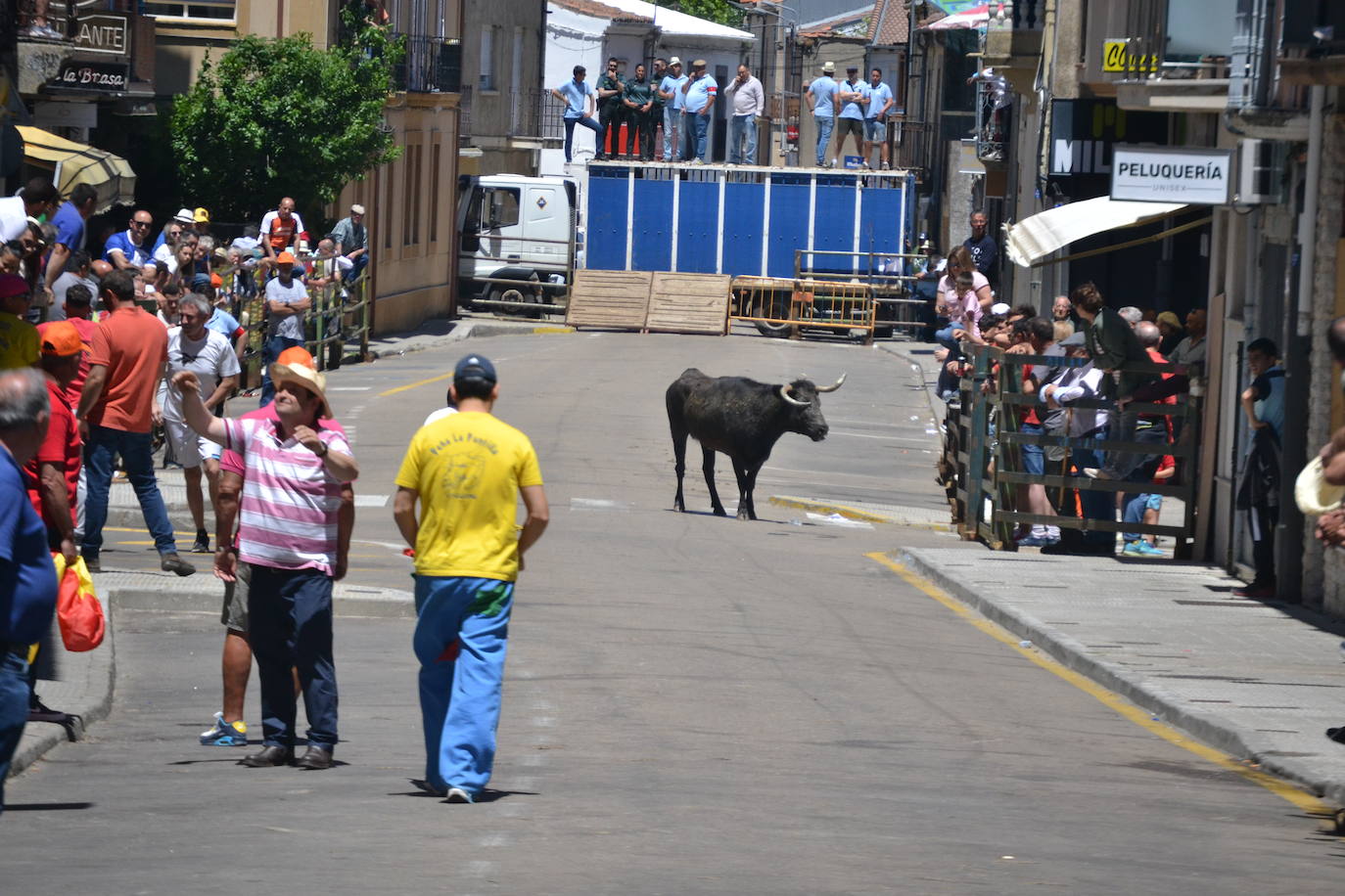 Divertido primer encierro en Vitigudino